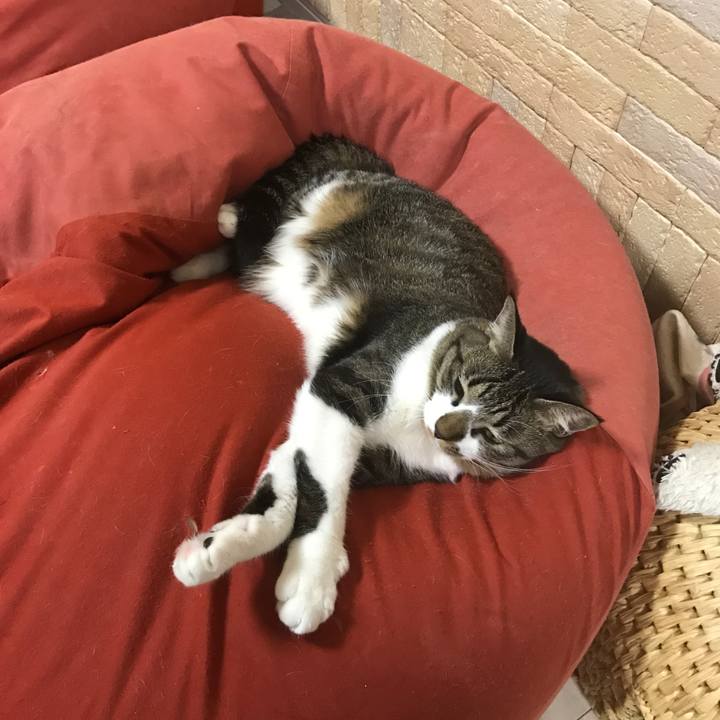 7c220f0d 4d4f 499d a8df c25c10f4f698