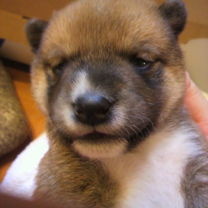 7c22d189 da68 4941 bd92 3e9c005a736d