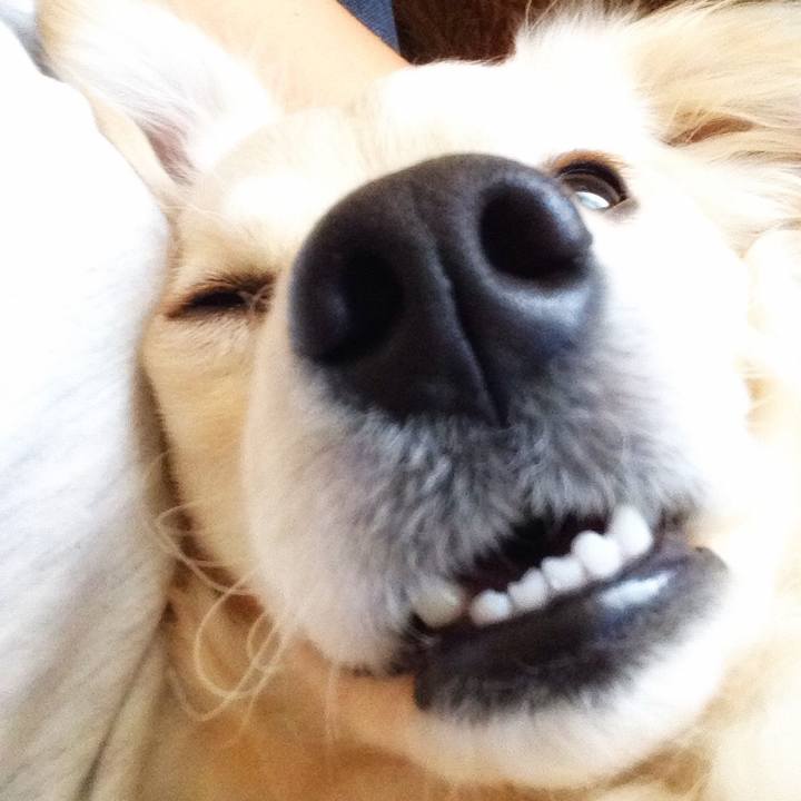 7c2334e9 291b 4fbb 80a5 57d60247cf31