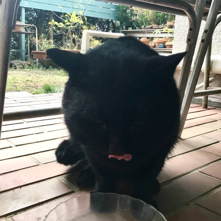 7c23438a ccb3 47cf b5c8 8ebef4a2b37c