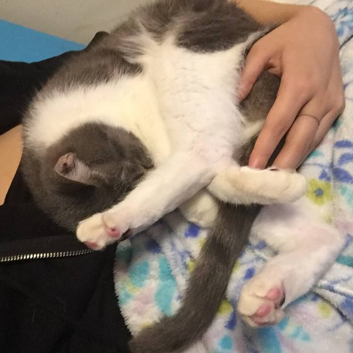 7c238fd0 922c 4449 bb47 cd1f140569cb