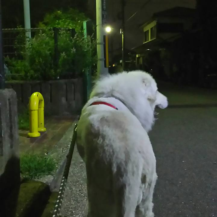 7c23d027 a61d 4c4e b623 de8660011940