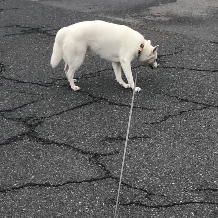 7c242718 0c99 4642 bffb c4b48f7a462a