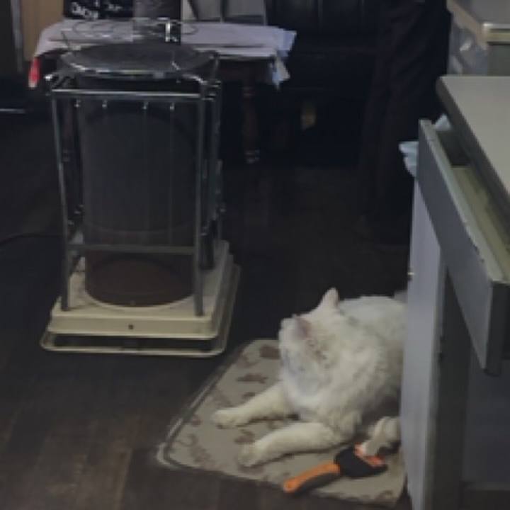 7c244503 f3fc 425c 9756 c752bd6ee312