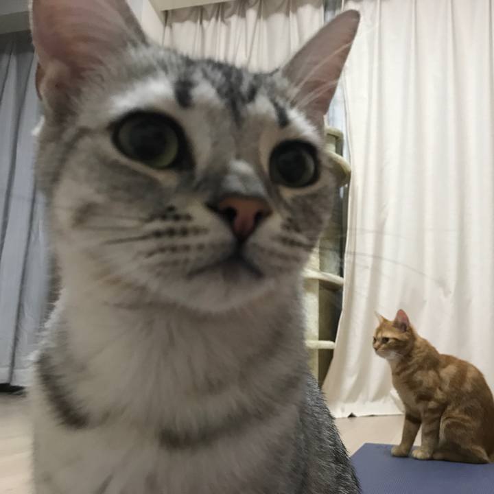 7c247bac 94db 45b0 a976 7166ca0742d1