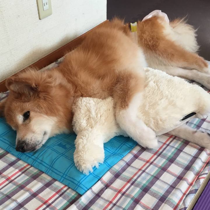 7c25651e 4ee2 47e5 864e c646354573c3