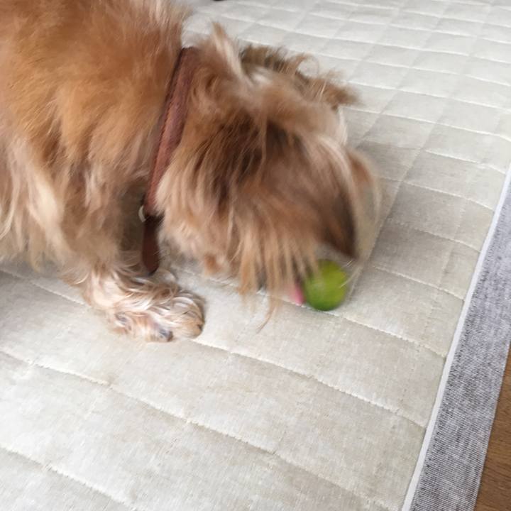 7c2586c4 6c80 4258 a207 16373da76dac