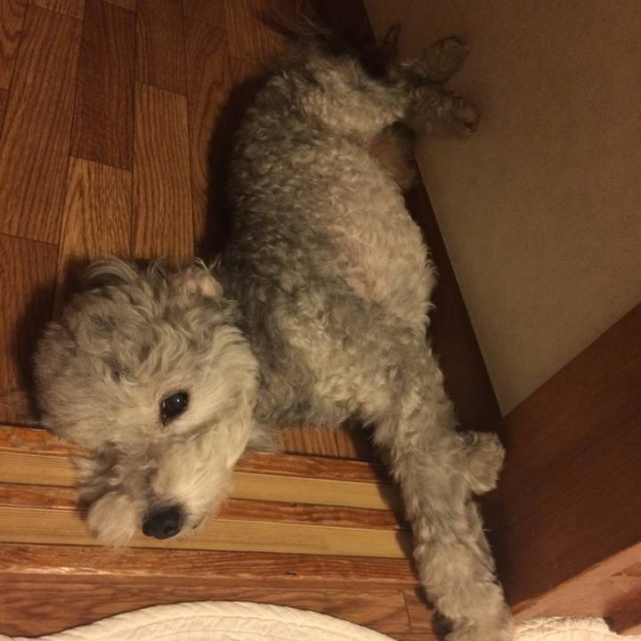 7c26b51d c0f0 459b a461 5e16cd982bb1