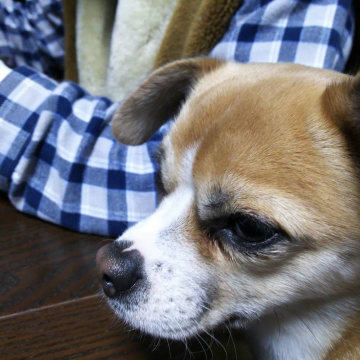 7c2701d6 d872 48e5 bd17 834b7554abc7