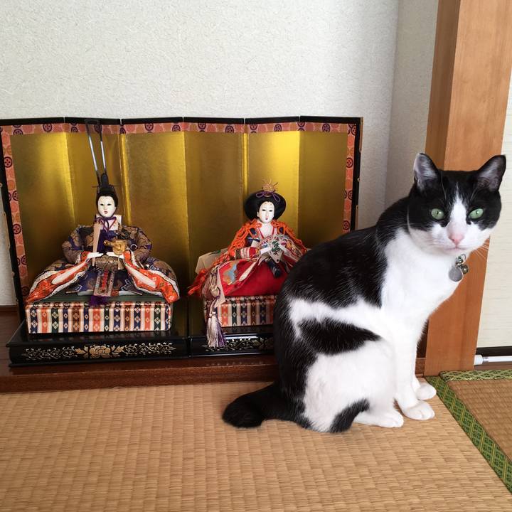 7c276176 4543 44a8 ba4e 0ce9f41b630a