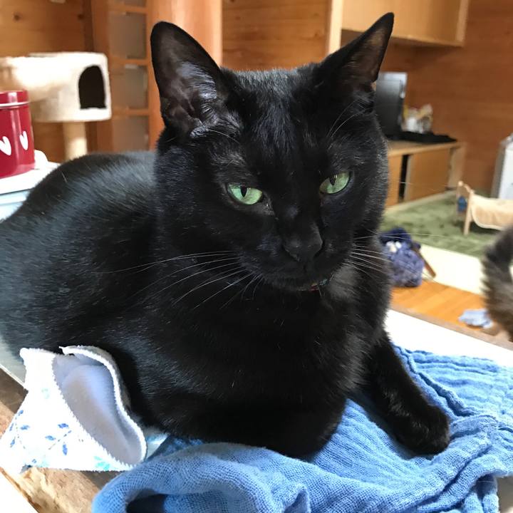 7c294f7b 6f2c 46af 9f6e bbcceeeef46b