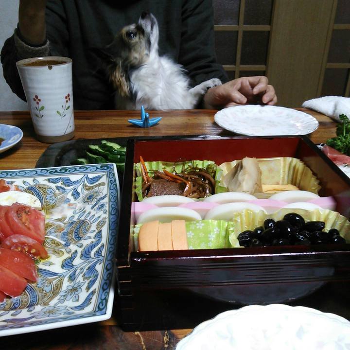 7c296489 3f57 474f 8a3b 39d8144de9eb