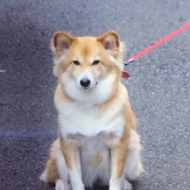 7c2a1c2c 3036 4d13 84d7 2347170c5444