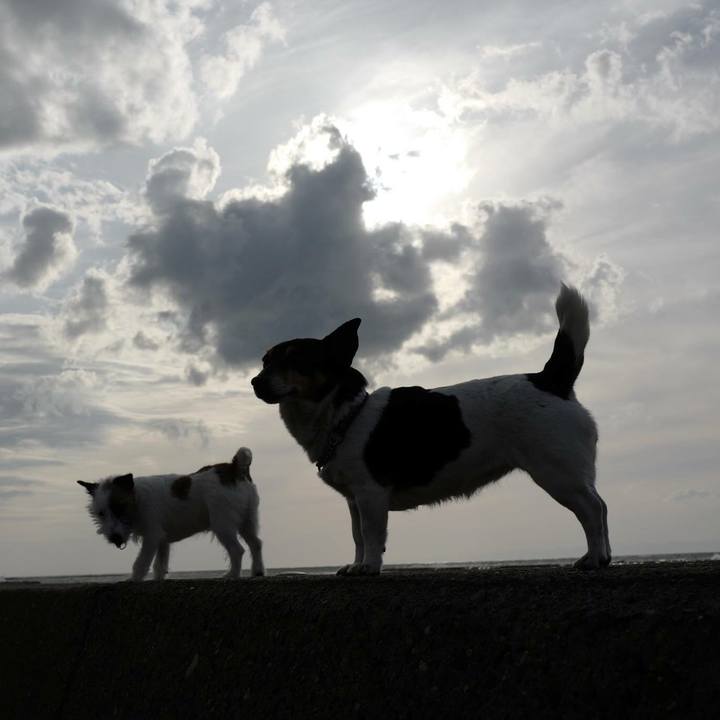 7c2a367e 5c80 4027 adac b9e493fd3d14