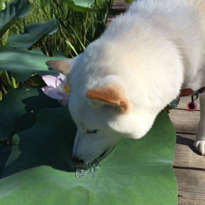 7c2a6348 65a5 423b 92c0 b8be56ee52d9