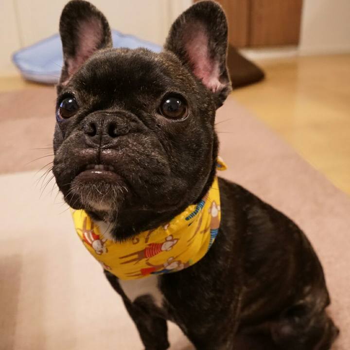 7c2ac59e 776e 49fb 9e8e 7e7eec0b10be