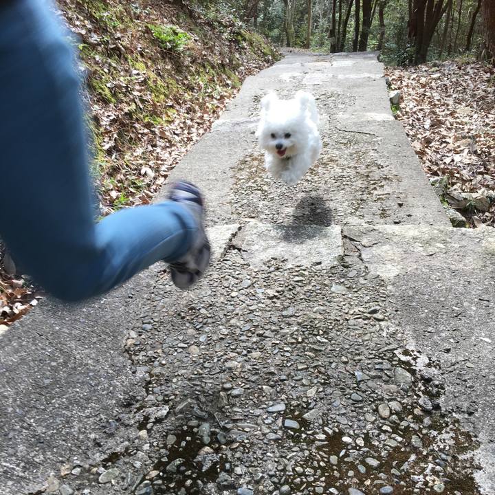 7c2acee2 87d6 405a 8c0d 79d372781aa7