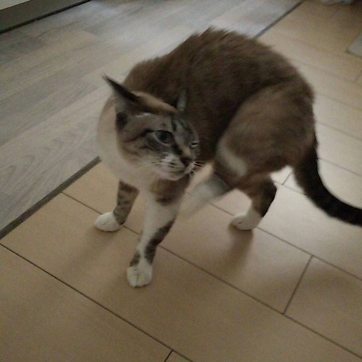 7c2b1447 ccd5 4854 a9f3 cb41e2240255