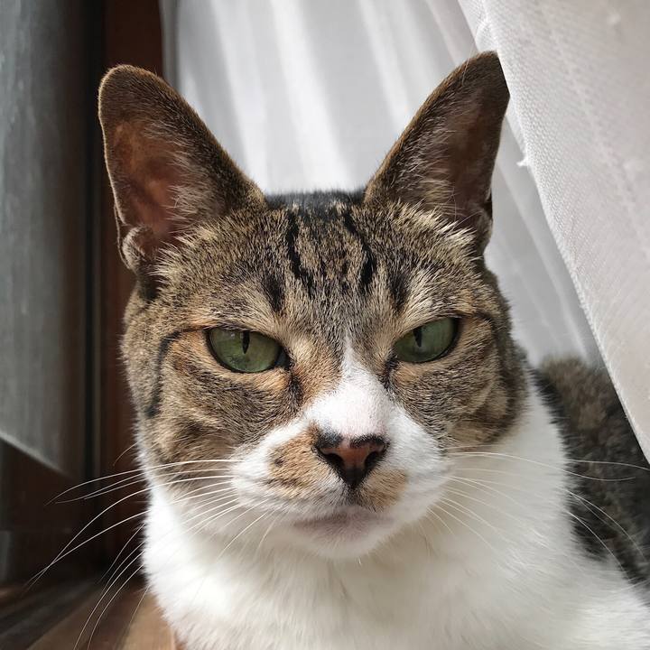 7c2b7664 4bc2 4076 8eff e6673af6e37a