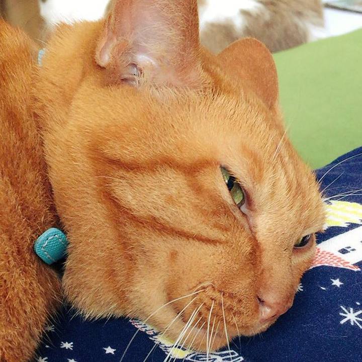 7c2c3cc6 5776 4088 9f28 67010626fe57