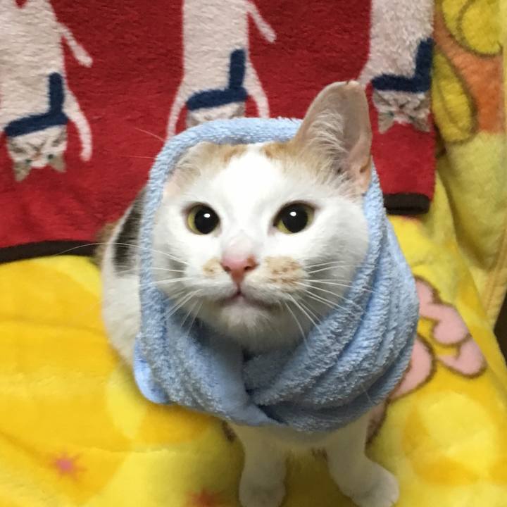 7c2d417a 2db1 4eda bf33 e8d8c9a30117