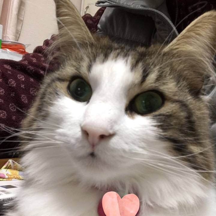 7c2d45a9 1b8e 45d3 96b8 a7cdf83e66b5