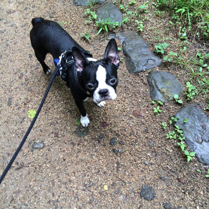 7c2dafb7 31e2 4b9a 979f ad3016166e2a