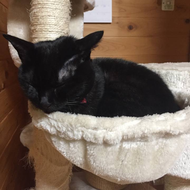 7c2ee1f2 be22 454a bf6b 57461775a892