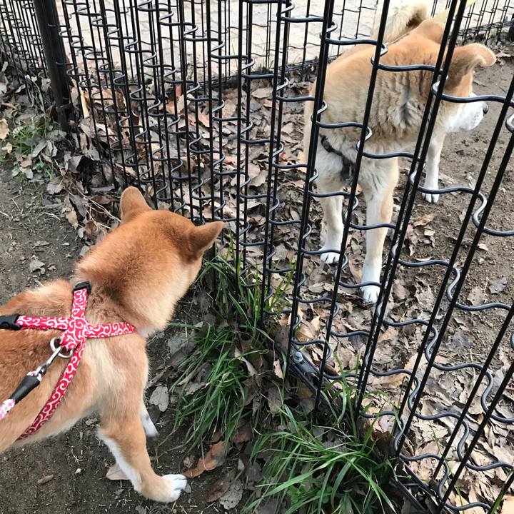 7c2f20f6 e43a 4e48 8a8b fb948c296e6c