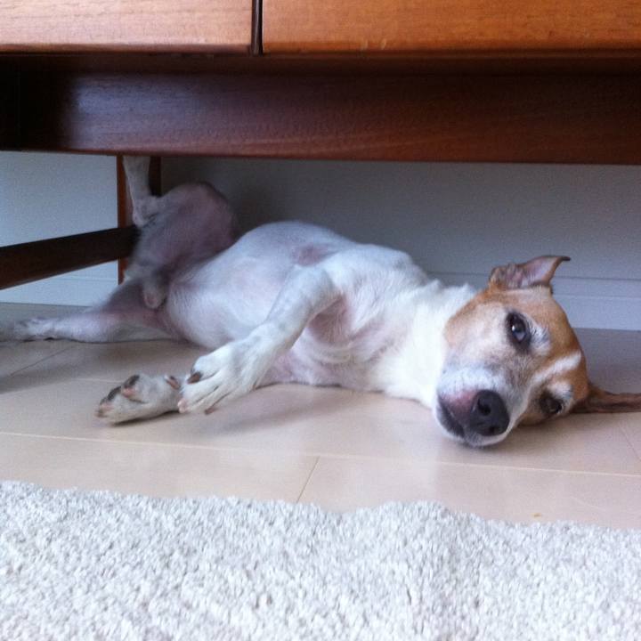 7c2f2f1a ceb6 44c8 8d97 053f001f11ef