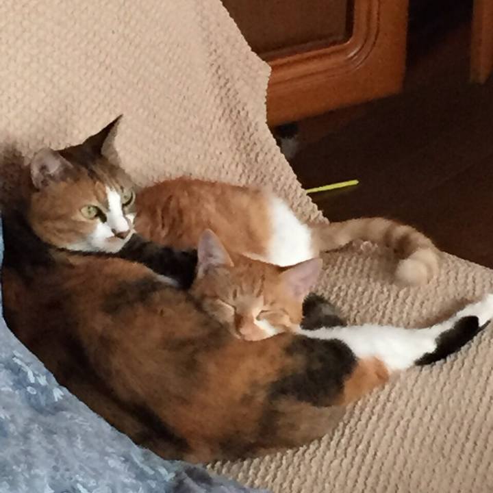 7c2faf08 634b 40c9 b1df e4956ae1a177