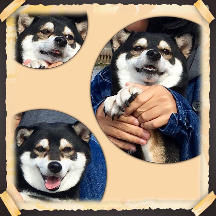 7c2fb01e 9916 4b8e b4fa 0c8fb8af1e22