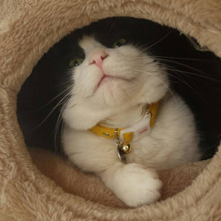 7c2fb9c4 a6ef 43b4 913e 2e0b3a0bf5a9