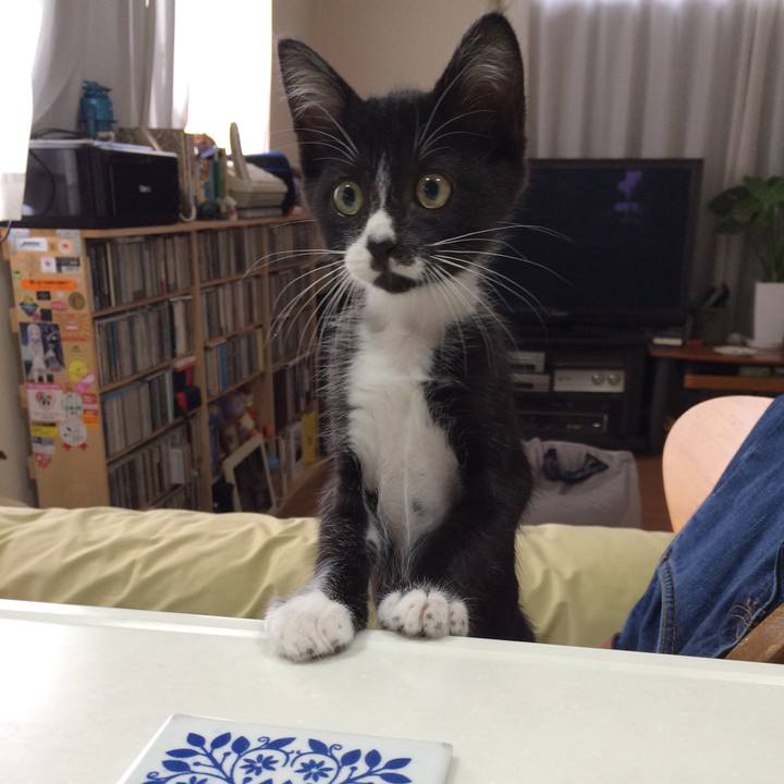 7c2fdac3 80d9 48c4 9985 640dc6b6c26d