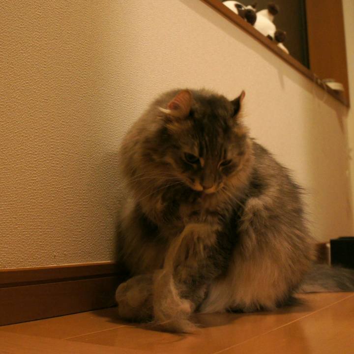 7c307b68 d6cf 49e8 b7e0 9acc485bb102