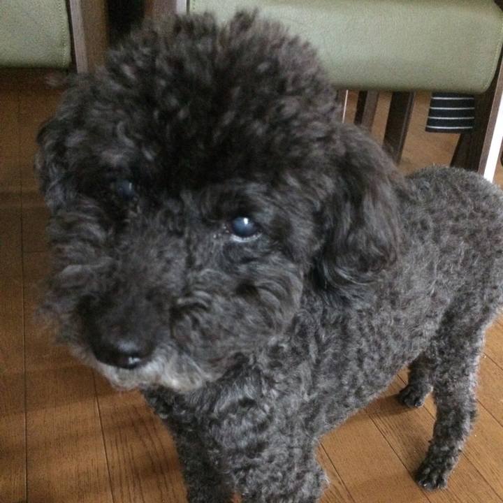 7c3091bc f818 4cf5 b652 fcebd9e0aaa4