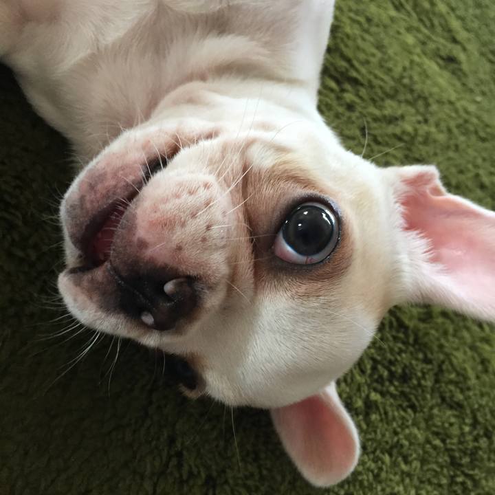 7c30eb86 23db 40ea 9d75 96092c9f9f28