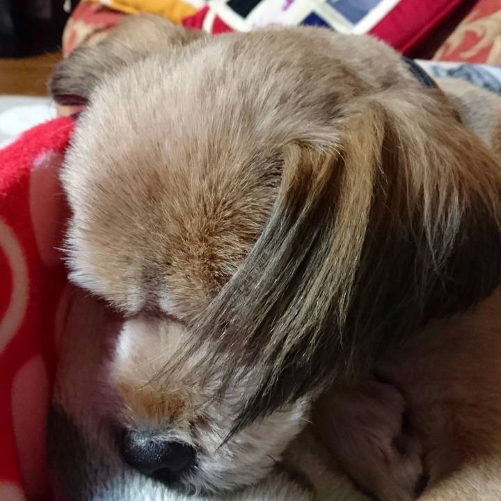 7c3120b0 75b5 44d0 91c9 16bfad32ef6a