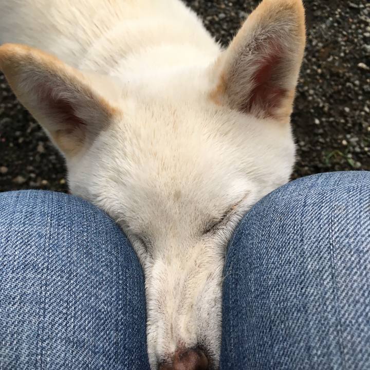 7c3188da de99 468b af0f ce2a7d2fc702