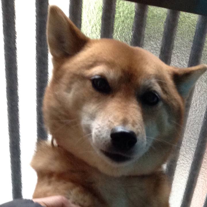 7c31bad2 a504 418a 9def 42c91c84e487