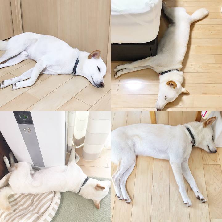 7c324477 3ee2 4dfe 809a dbd219f5cb46