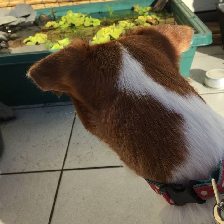 7c327f05 52e1 4c36 9277 4784191e5623