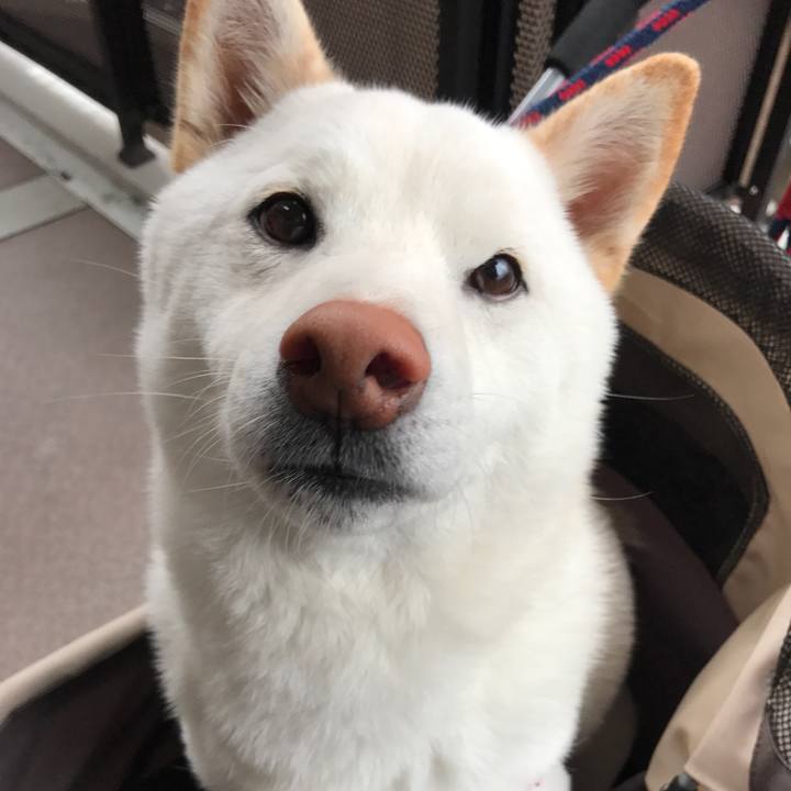 7c32aa7b c3a3 4186 a87c 70dab07c8da8