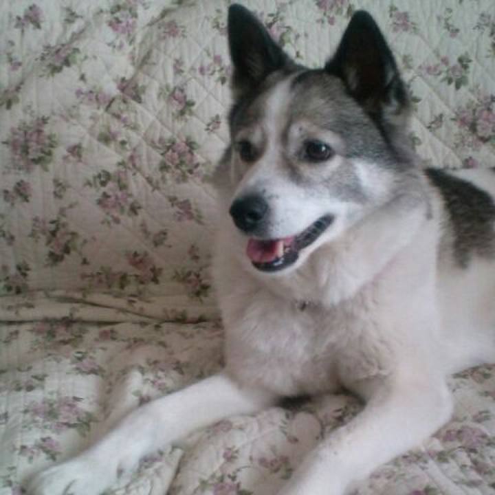 7c32c36d a063 48db bc93 be2be62be42a