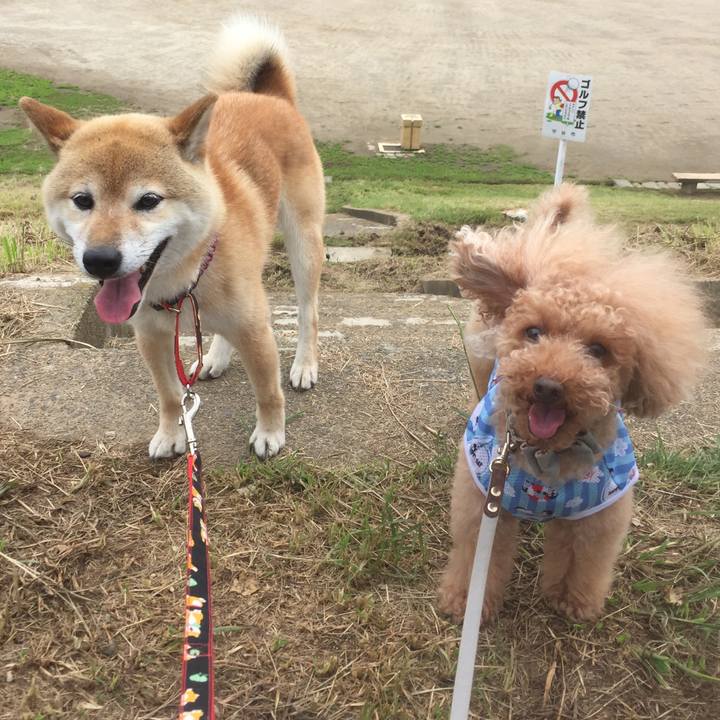 7c32cba3 a949 45f4 8328 4096458582f1