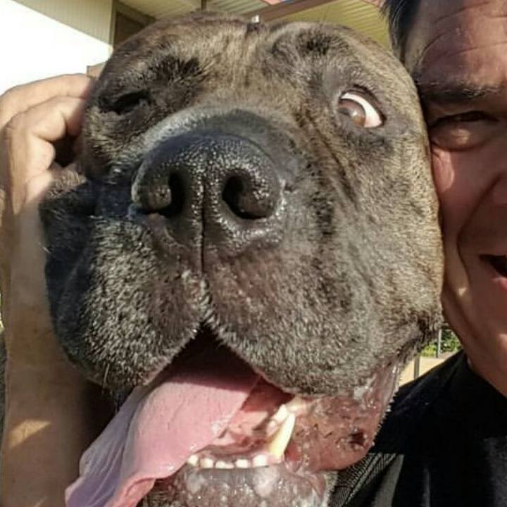 7c32f6bb dd78 4aa7 9eff 7377935c5381