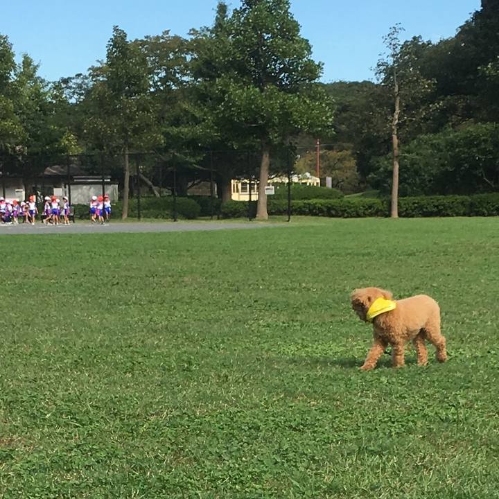 7c33206b ec76 4fe6 b6bf 5dd7c1d6ca9b