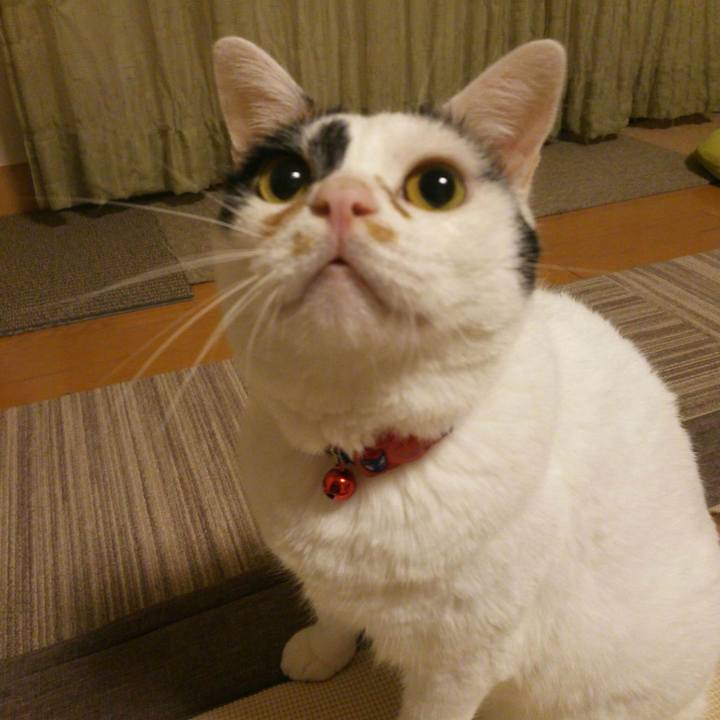 7c333267 d42f 4746 a72e d71a6b4174ed