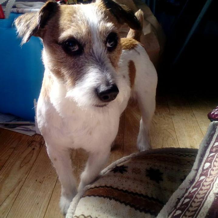 7c338fab 086a 4d6e 918f c5a3031e791d