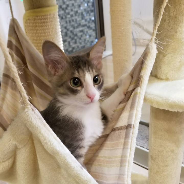 7c3391df 3a14 4139 a455 9913962988e5